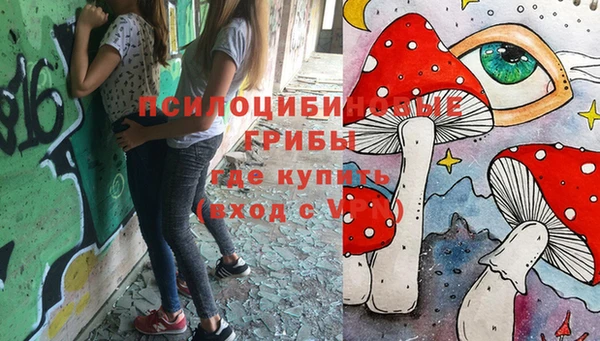 МДПВ Краснослободск